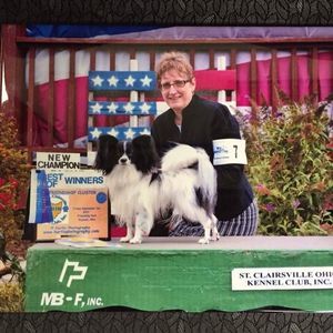 Meet your Posher, Darlene